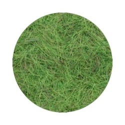 Powder Foliage rectangle 0.4mm